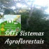 SAFs Sistemas Agroflorestais