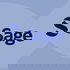 SAGE Clinical Medicine & Research