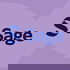 SAGE Sociology