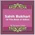 Sahih Bukhari The Book Of Adhan
