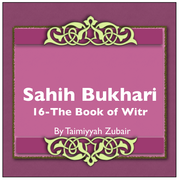 Artwork for Sahih Bukhari The Book Of Witr