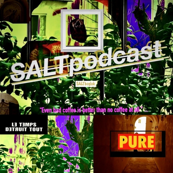 Artwork for SALT podcast