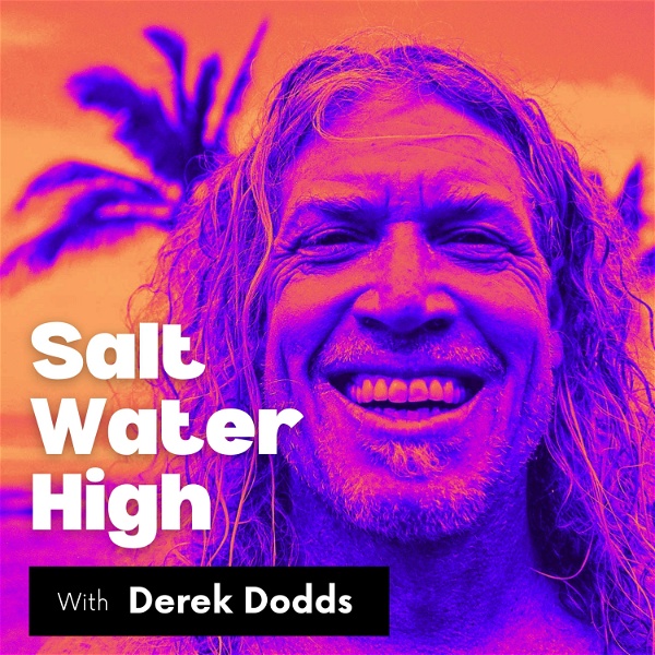 Artwork for Salt Water High by Derek Dodds