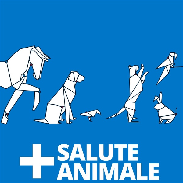 Artwork for Salute Animale