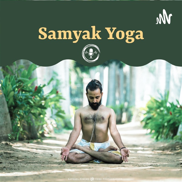 Artwork for Samyak Institute of Yoga and Ayurveda