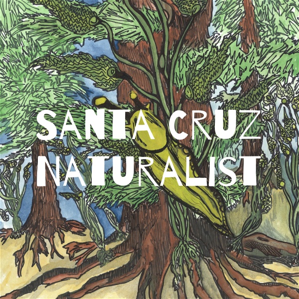 Artwork for Santa Cruz Naturalist