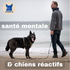 santé mentale et chiens réactifs