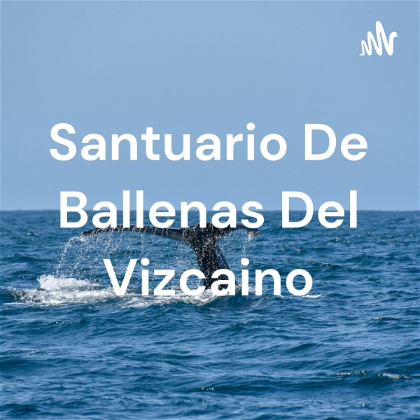 Artwork for Santuario De Ballenas Del Vizcaino