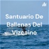 Santuario De Ballenas Del Vizcaino