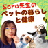 獣医Sara先生のペットの暮らしと健康 No.2(Podcast with Holistic Vet Sara)