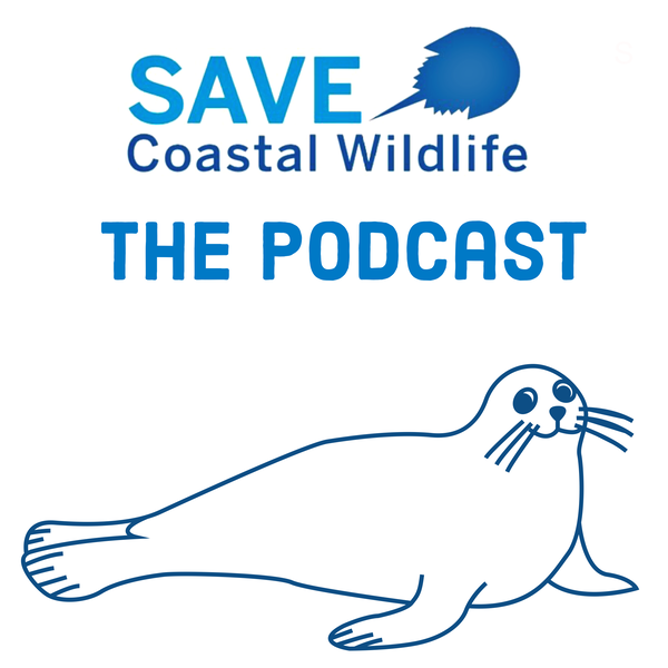 Artwork for Save Coastal Wildlife