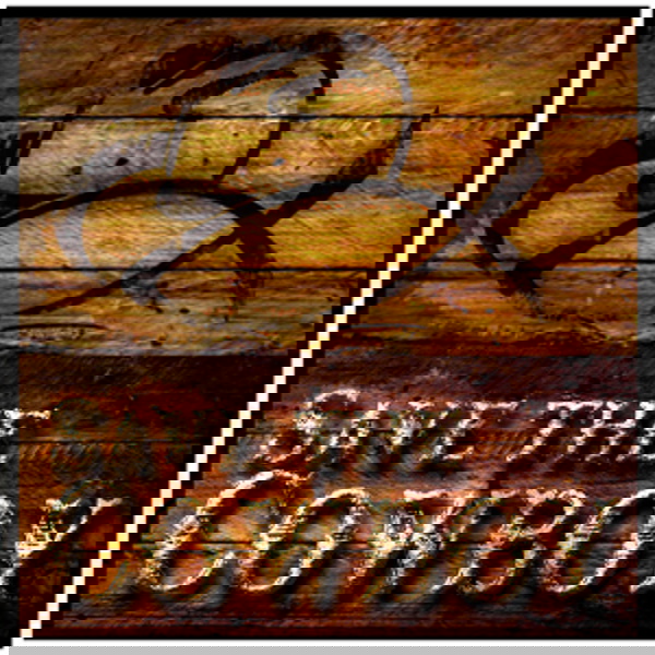 Artwork for Save The Cowboy