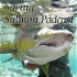 Saving Salmon Podcast