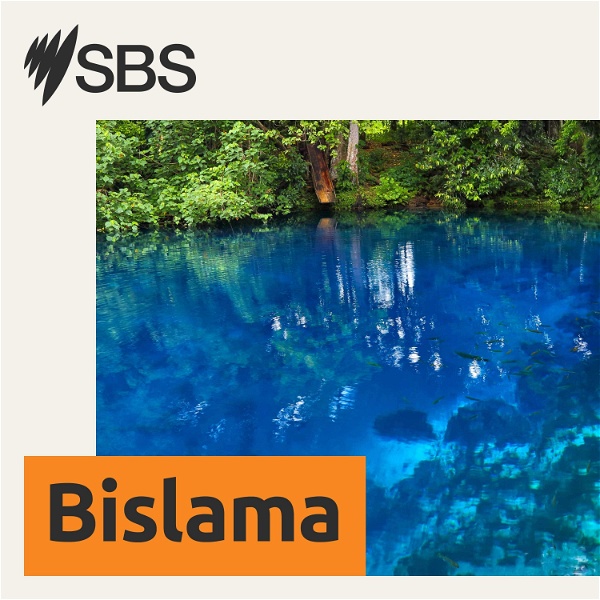 Artwork for SBS Bislama