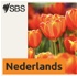 SBS Dutch - SBS Nederlands