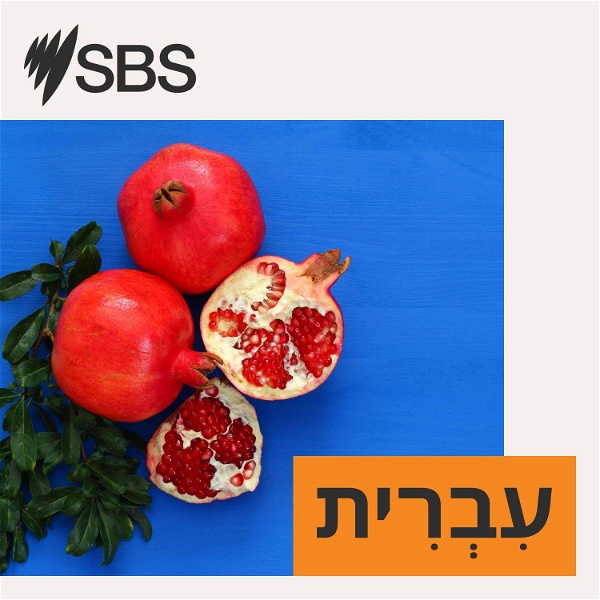 Artwork for SBS Hebrew