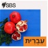 SBS Hebrew - אס בי אס בעברית