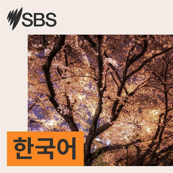 Artwork for SBS Korean