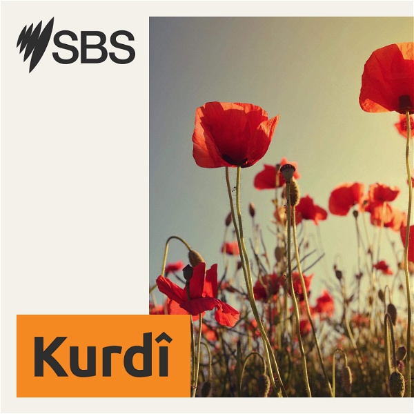Artwork for SBS Kurdish