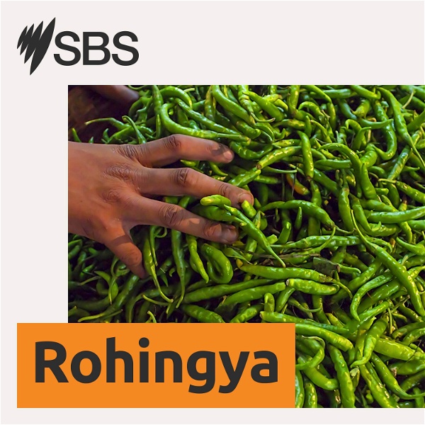 Artwork for SBS Rohingya