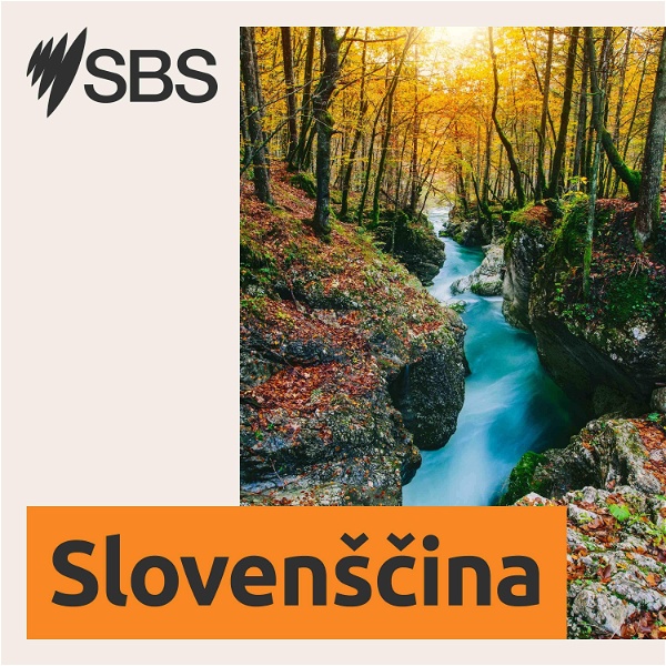 Artwork for SBS Slovenian