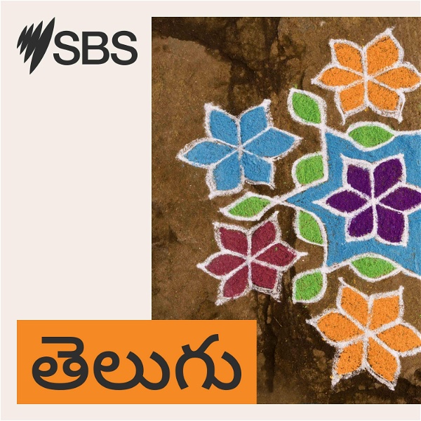 Artwork for SBS Telugu