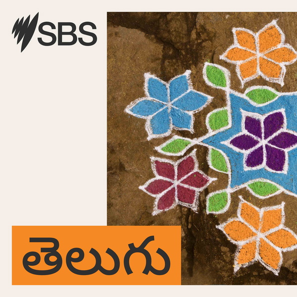 Artwork for SBS Telugu