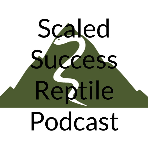 Artwork for Scaled Success Reptile Podcast