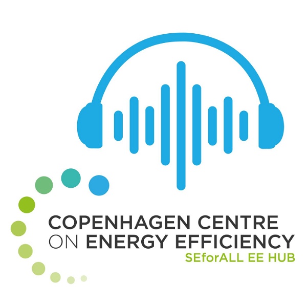 Artwork for Scaling Up Energy Efficiency