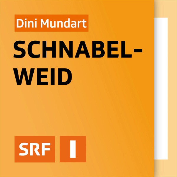 Artwork for Dini Mundart Schnabelweid