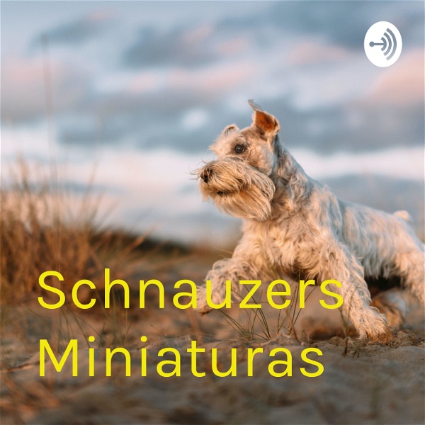Artwork for Schnauzers Miniaturas