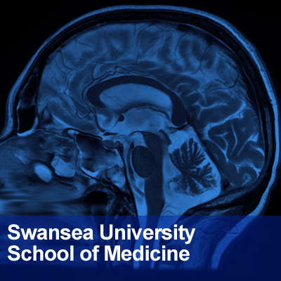 Artwork for Swansea University Medical School: Neuroscience