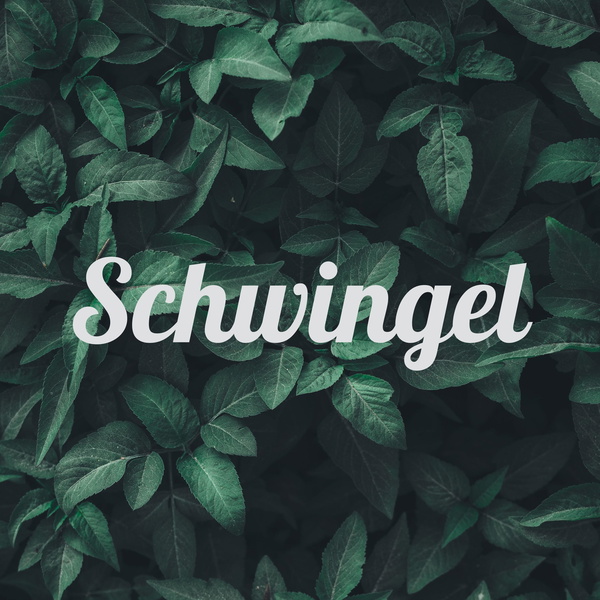 Artwork for Schwingel