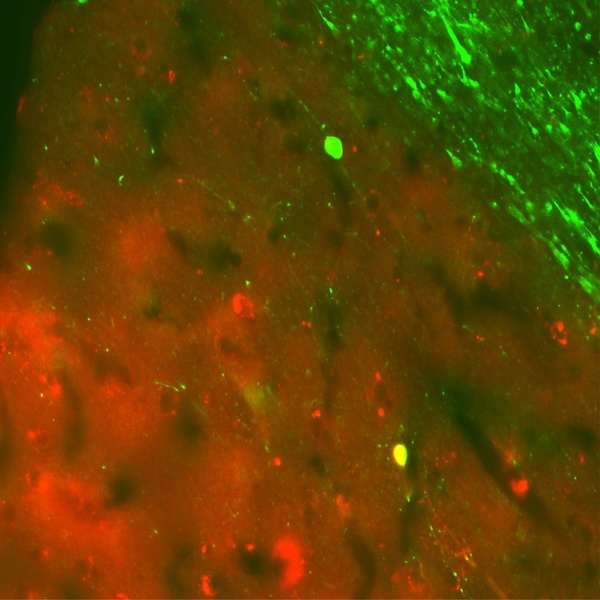 Artwork for Science, please!