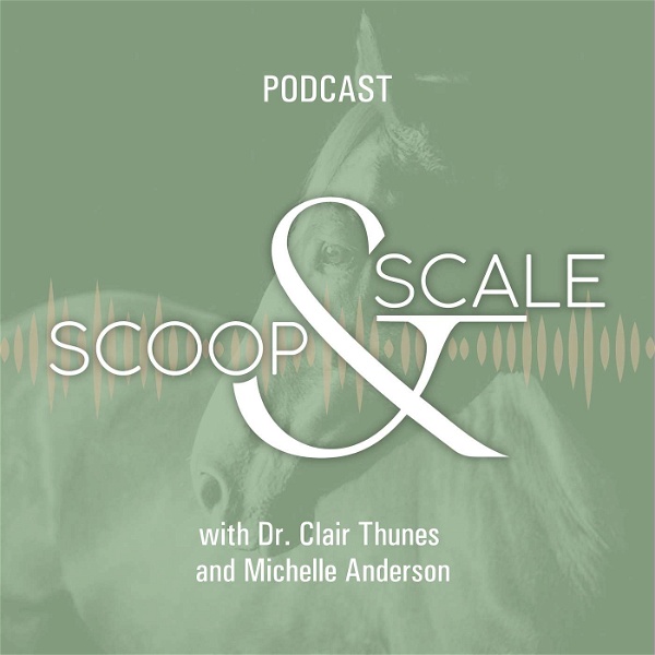 Artwork for Scoop & Scale: An Equine Podcast