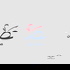 صدى نون