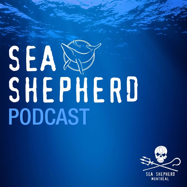 Artwork for Sea Shepherd Montréal Podcast