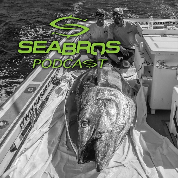 Artwork for SeaBros Fishing Podcast