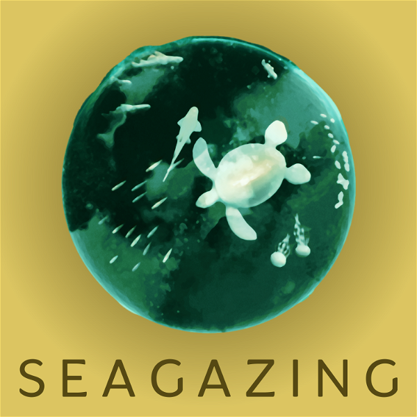 Artwork for SeaGazing