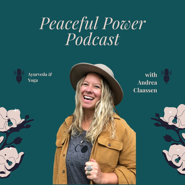 Artwork for Peaceful Power Podcast