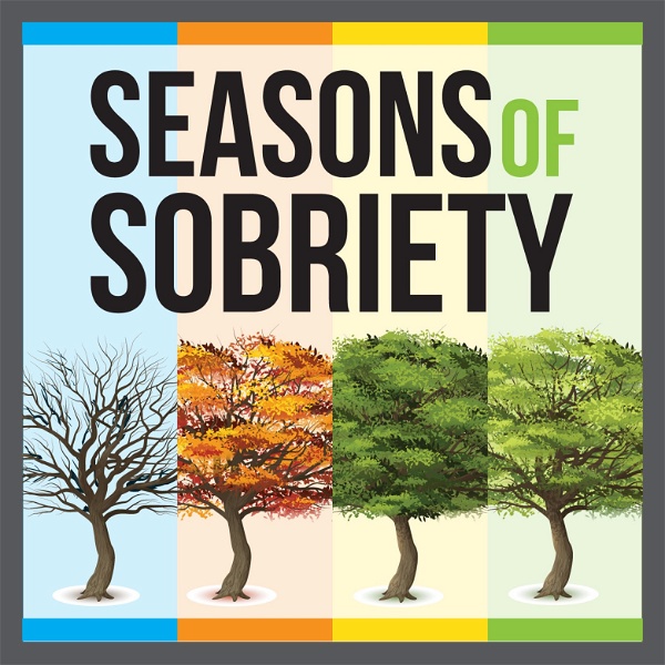 Artwork for Seasons of Sobriety