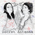 Secret Antenna