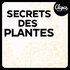 Secrets des Plantes