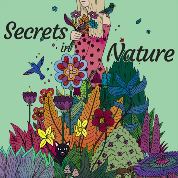Artwork for Secrets in Nature