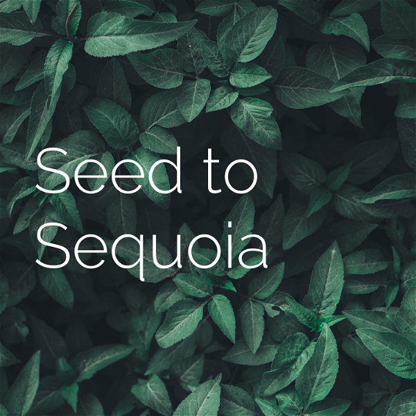 Artwork for Seed to Sequoia