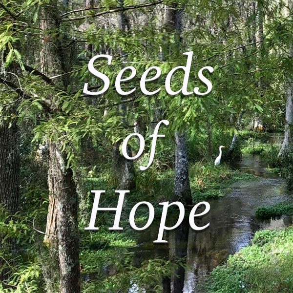 Artwork for Seeds of Hope: Talks & Homilies by Fr. Mike Muhr