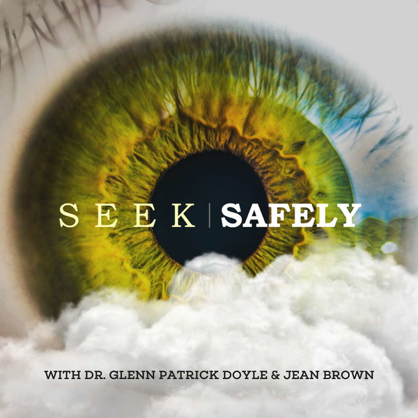 Artwork for Seek Safely