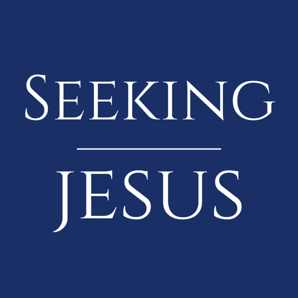 Artwork for Seeking Jesus