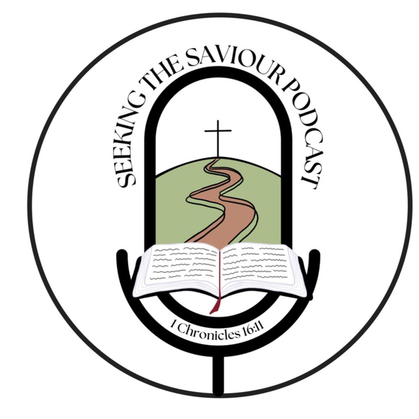 Artwork for Seeking the Saviour Podcast