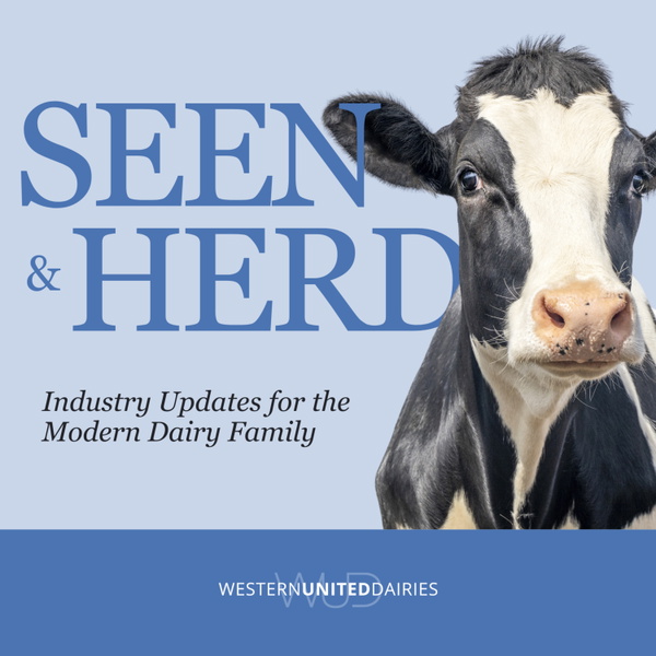 Artwork for Seen & Herd